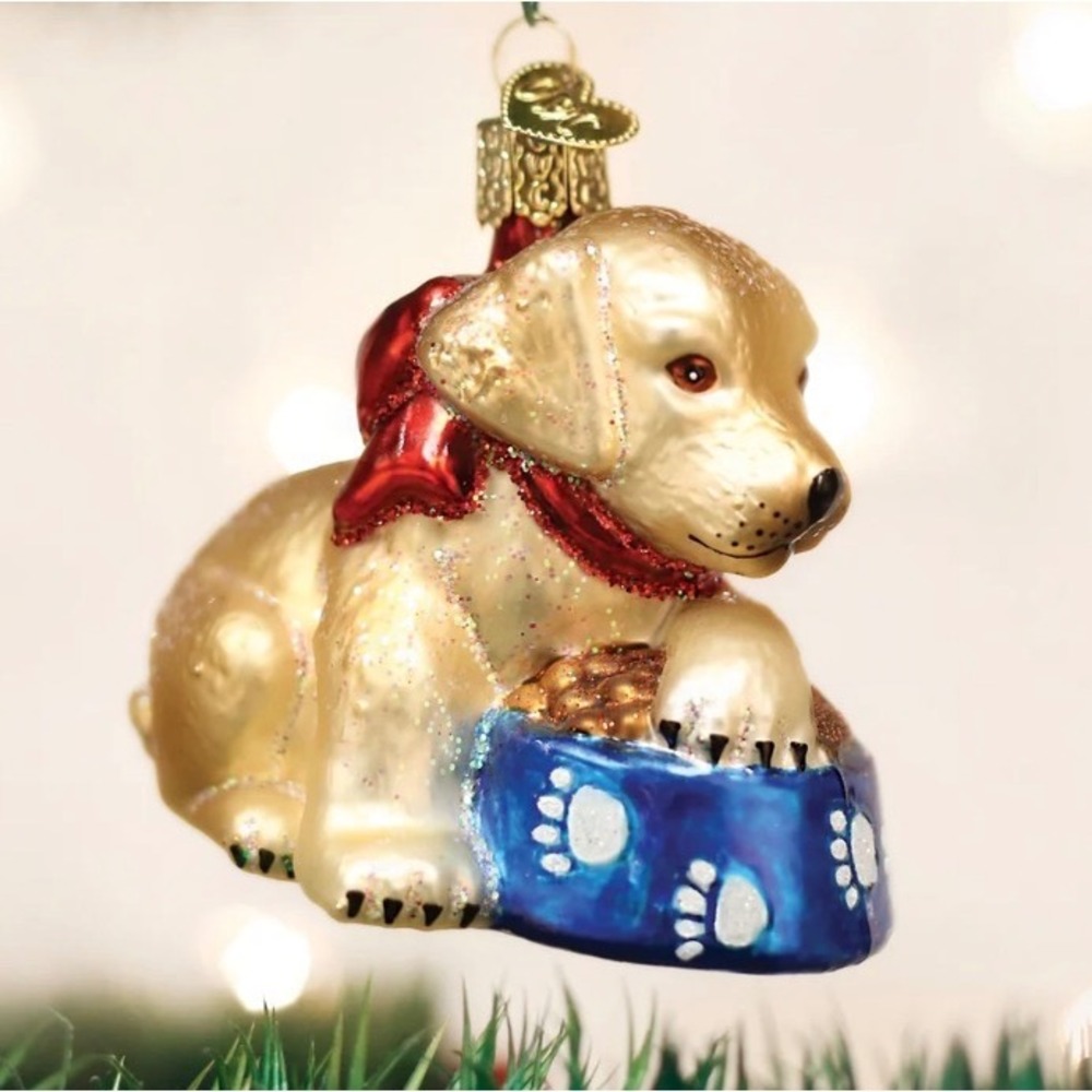 Old World Christmas Golden Labrador Puppy Glass Ornament Yellow Lab OS Gold New